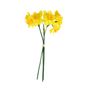 Essential Mini Daffodil Bunch - Yellow