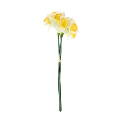 Essential Mini Daffodil Bunch - White