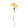 Essential Mini Daffodil Bunch - White