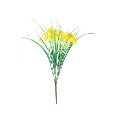 Essential Wild Daffodil Bunch - Yellow