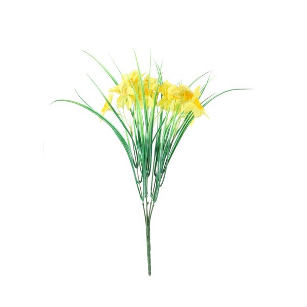 Essential Wild Daffodil Bunch - Yellow