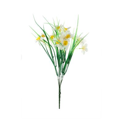 Essential Wild Daffodil Bunch - White