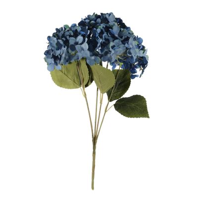 Essential Hydrangea Bush - Blue