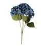 Essential Hydrangea Bush - Blue