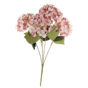 Essential Hydrangea Bush -  Pink