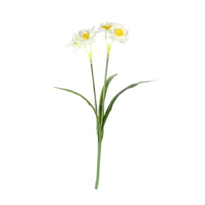 Essential Narcissus Plant with Leaves - White