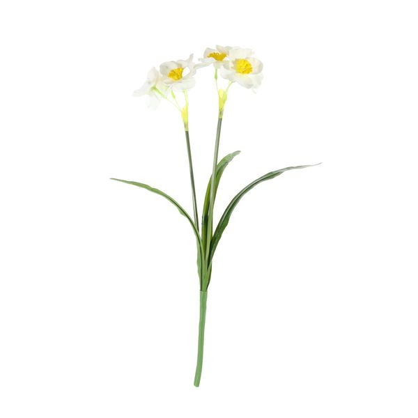 Essential Narcissus Plant with Leaves - White