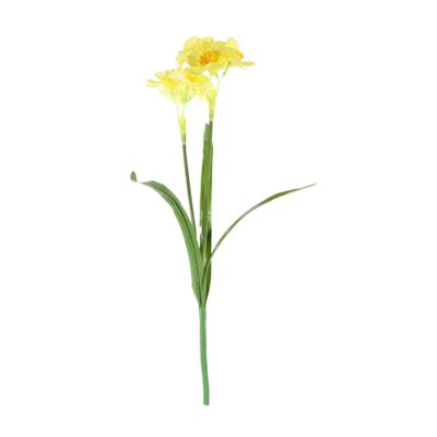 Essentail Narcissus Plant with Leaves - Yellow