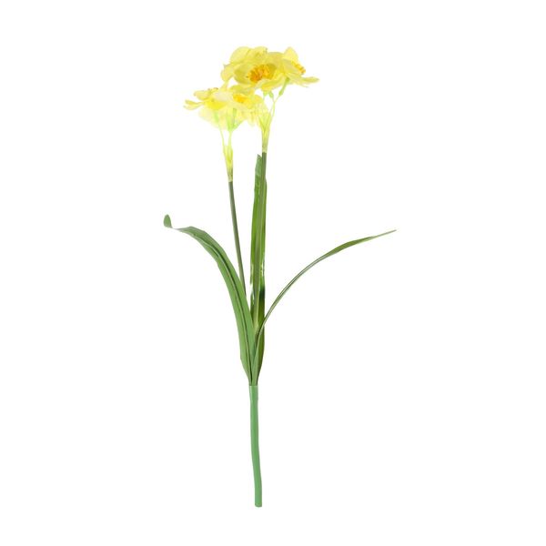 Essentail Narcissus Plant with Leaves - Yellow