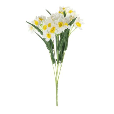 Essential Narcissus Bush with Leaves - White