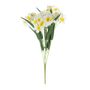 Essential Narcissus Bush with Leaves - White