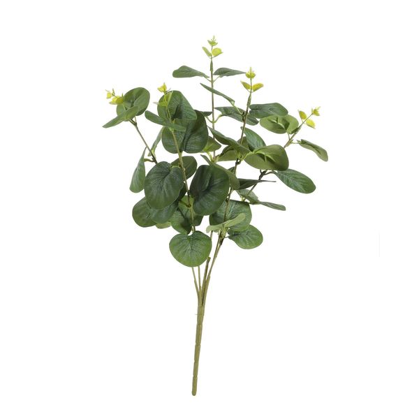 Essential Eucalyptus Bush - Green