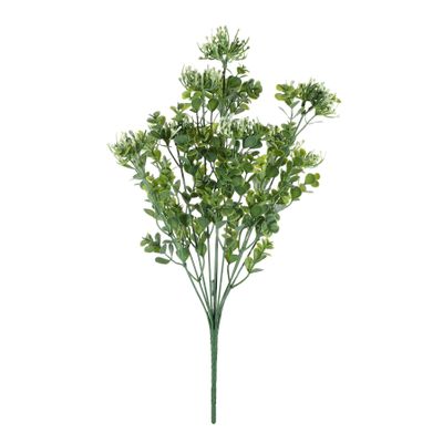 Essential sedum Bush - White