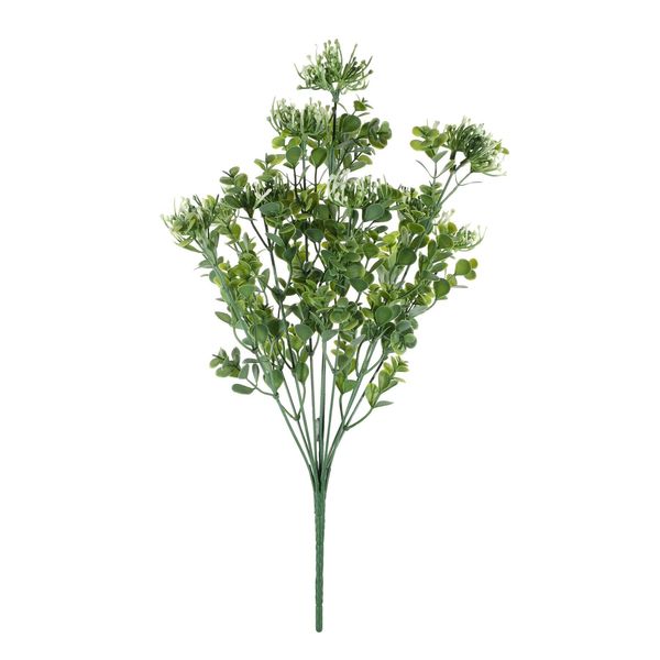 Essential sedum Bush - White