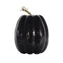 Tall Crackled  Finish Pumpkin - Black / Purple - 21cm x 15cm