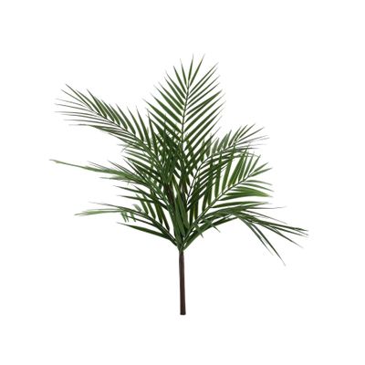 Essential Palm Plant