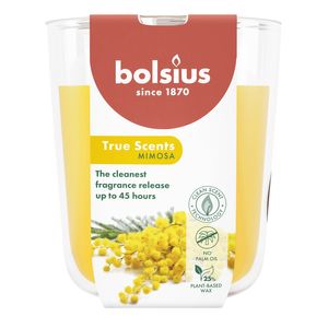 Bolsius - True Scents Fragrance  Large Candle Glass - H9.7 x 8.5cm - Mimosa