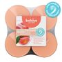 Bolsius - True Scents  Fragrance Clear Cup Maxi Tealights  - 8Hr -Pk 8 - Peach