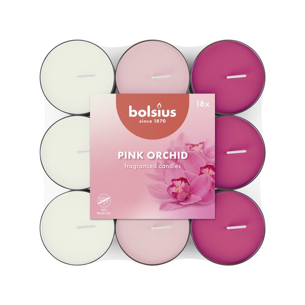 Bolsius Flatpack Tea Lights - 4Hr -18Pk - Pink Orchid