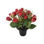 Essential Rose Mix Remembrance Grave Pot - Red