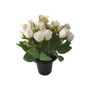 Essential Rose Mix Remembrance Grave Pot - White
