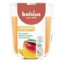 Bolsius - True Scents Fragrance  Large Candle Glass - H9.7 x 8.5cm - Mango