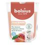 Bolsius - True Scents Fragrance  Small Candle Glass - H8 x 7.3cm - Peach