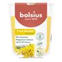 Bolsius - True Scents Fragrance  Small Candle Glass - H8 x 7.3cm - Mimosa