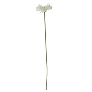 Essential Gerbera - White