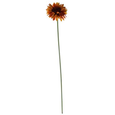 Essential Gerbera - Burnt Gold