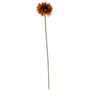 Essential Gerbera - Burnt Gold