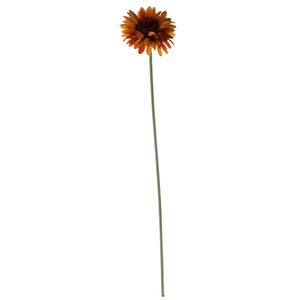 Essential Gerbera - Burnt Gold