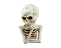 Halloween Skeleton Decoration (18cm)