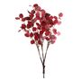 Eucalyptus Tree Branches - Red - Set of 30