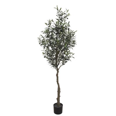 Olive Tree U.V F.R - 160cm