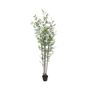 Botanica Bamboo U.V - 213cm
