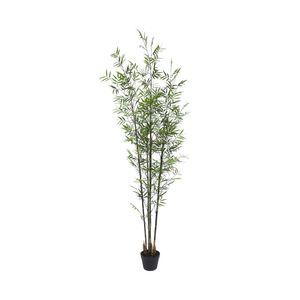 Botanica Bamboo U.V - 213cm