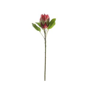 Large Protea - Red