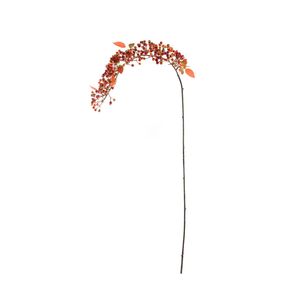 Glamis Berry Trail -Orange