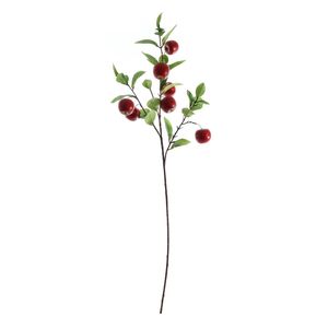 Apple Spray - Red