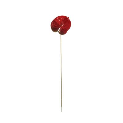 Essential Anthurium - Red