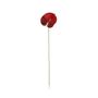 Essential Anthurium - Red