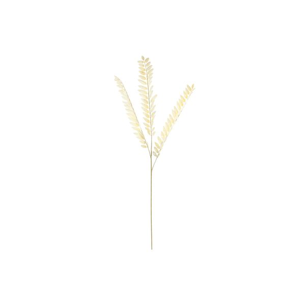 Essential Dry Look Bleached Fern Spray