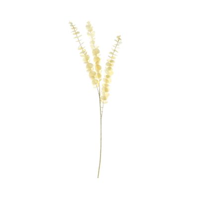 Essential Dry Look Bleached Eucalyptus Stem