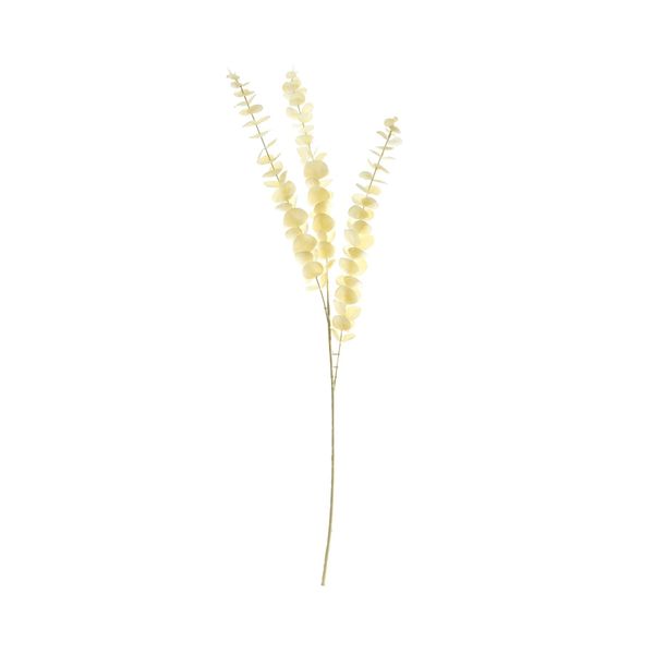 Essential Dry Look Bleached Eucalyptus Stem