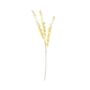 Essential Dry Look Bleached Eucalyptus Stem