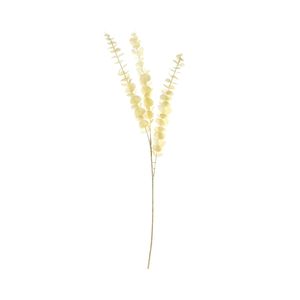 Essential Dry Look Bleached Eucalyptus Stem
