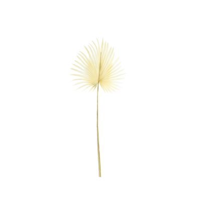 Essential Dry Look Bleached Palm