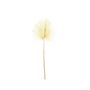 Essential Dry Look Bleached Palm