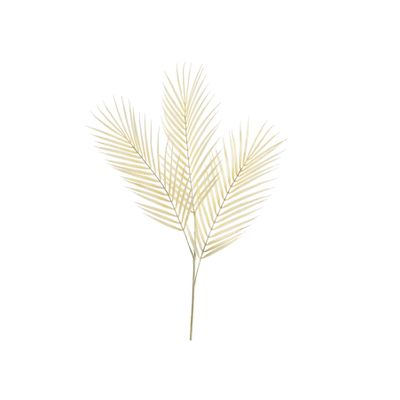 Essential Dry Look Bleached Fern Leaf